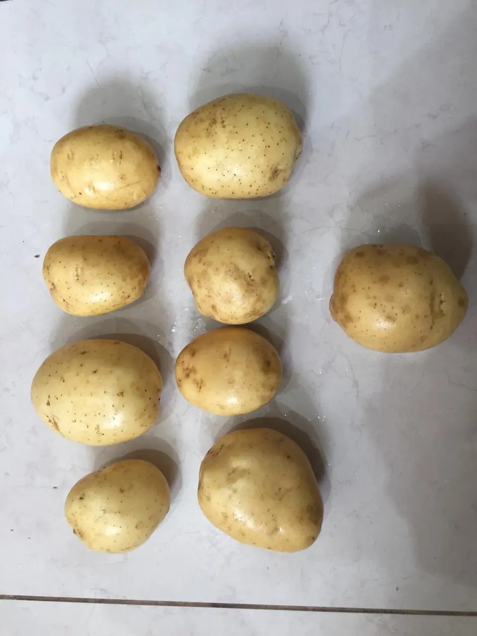 картофель с чернозёмных полей в Тамбове и Тамбовской области 6